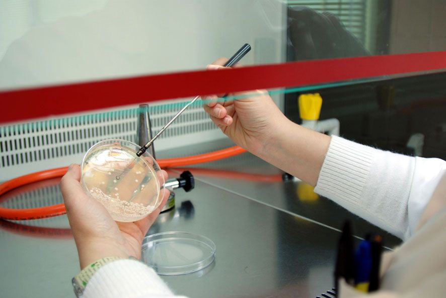 uclm-rendimiento-investigador