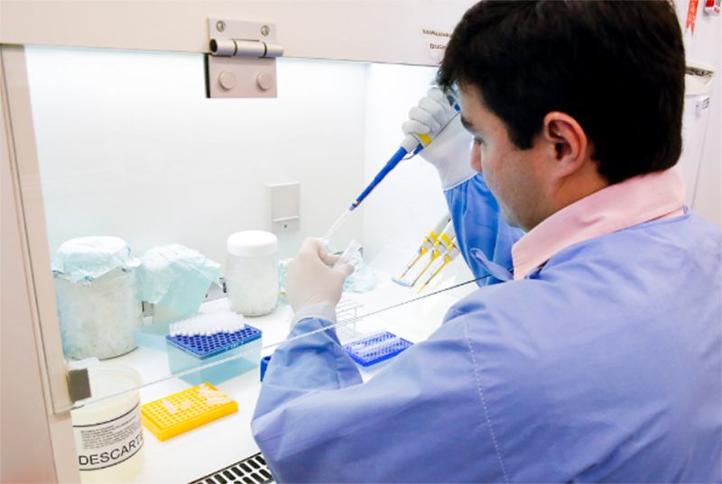 ufrn-virus-dengue-zika