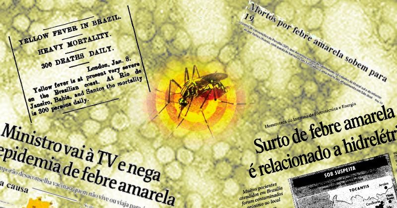 pesquisa-investiga-epidemia-midiatica-febre-amarela-usp