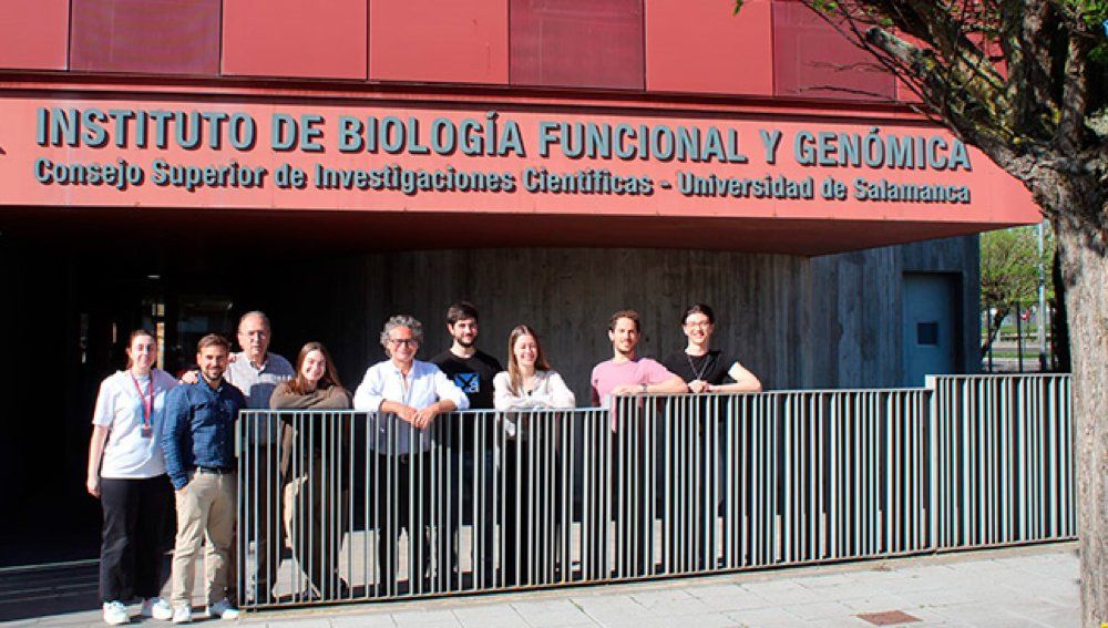 Científicos de la Universidad de Salamanca revelan que las neuronas prefieren usar modestamente la glucosa para un mejor funcionamiento - USAL