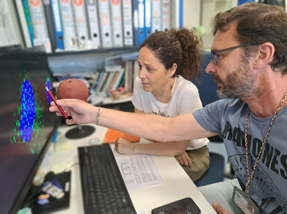 Identifican una molécula antiviral eficaz contra infecciones que carecen de tratamiento - US